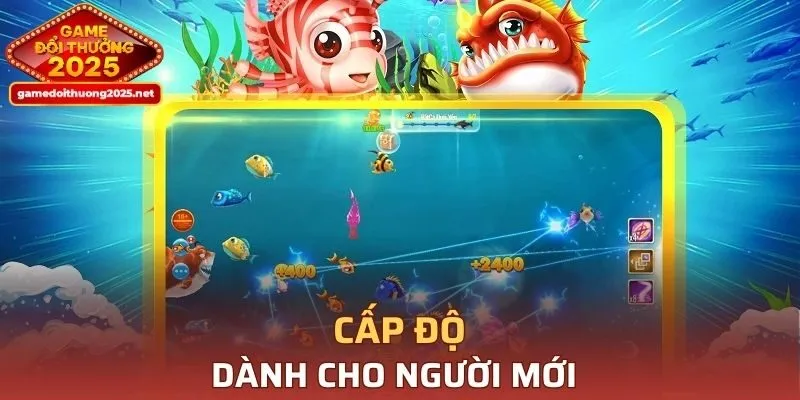 Cấp độ dành cho người mới