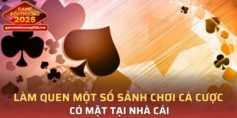 Làm quen một số sảnh chơi cá cược có mặt tại nhà cái