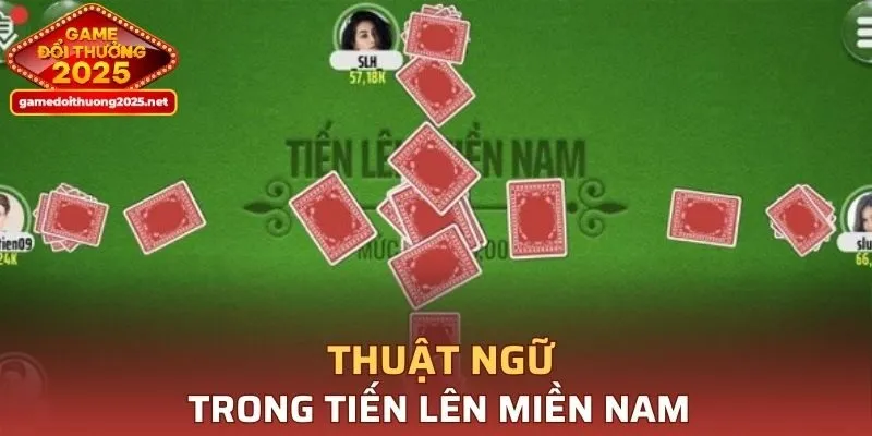 Những thuật ngữ sử dụng trong Tiến Lên Miền Nam