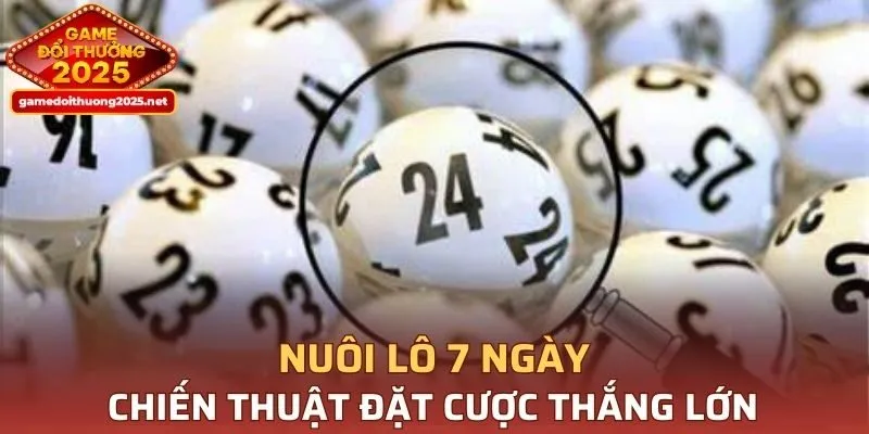 Nuôi Lô 7 Ngày