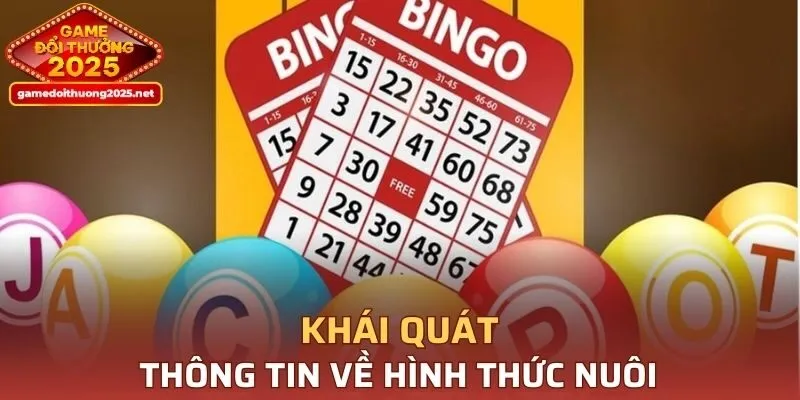 Tìm hiểu thông tin chi tiết
